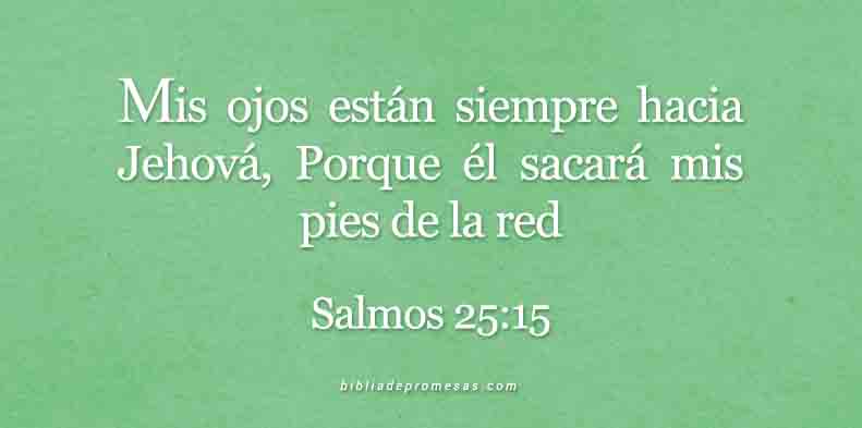 24-mayo-salmos-25-15