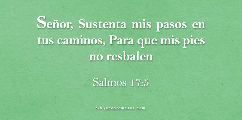 SALMOS-17-5