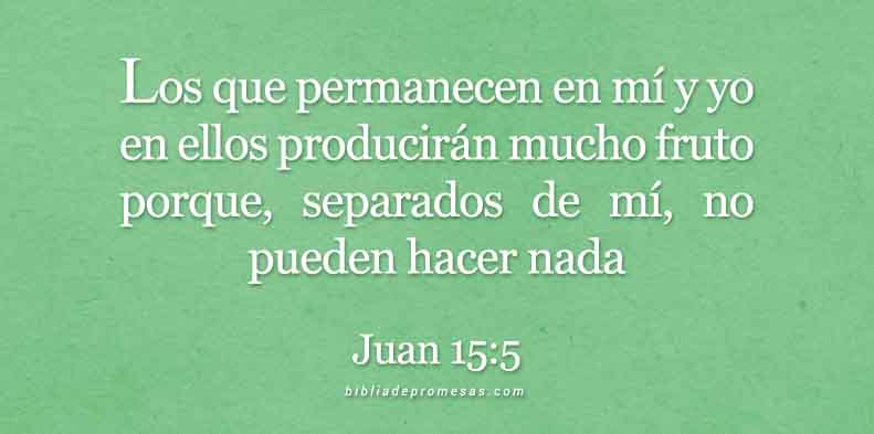 JUAN15--5