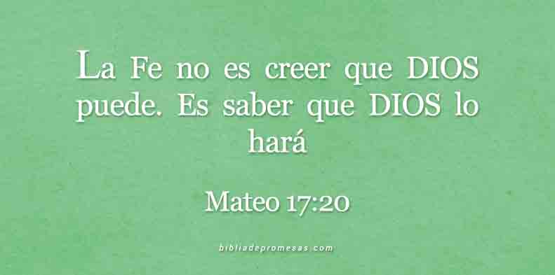 MATEO-17-20