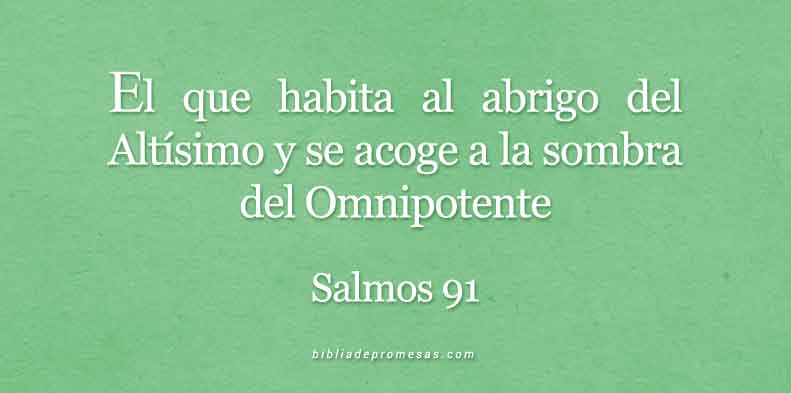 SALMOS-91-1