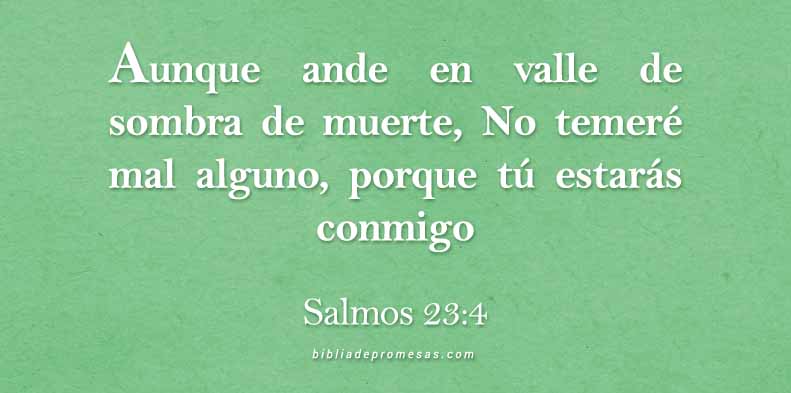 aa-SALMOS-23