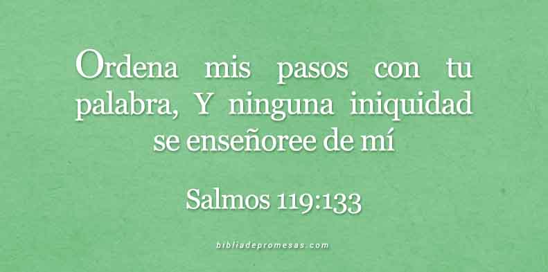 Salmos-119-133