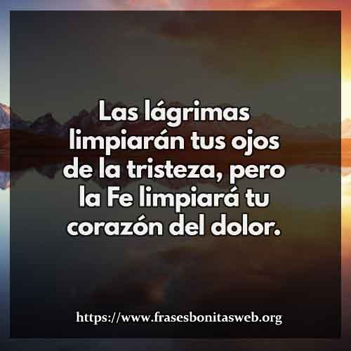 limpiara-tu-corazon-frases-de-la-vida