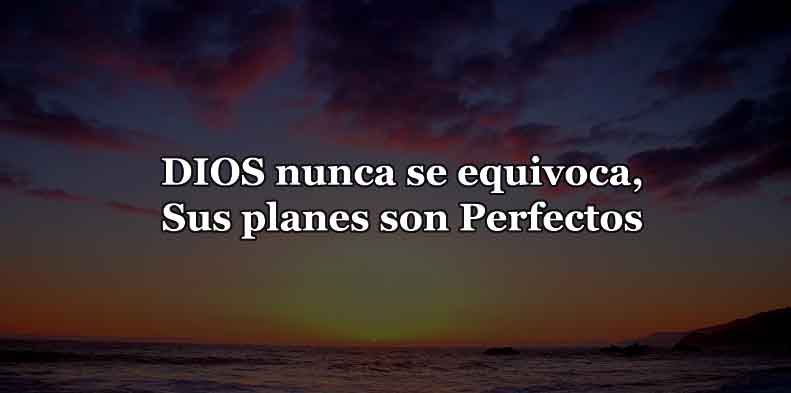 sus-planes-son-perfectos