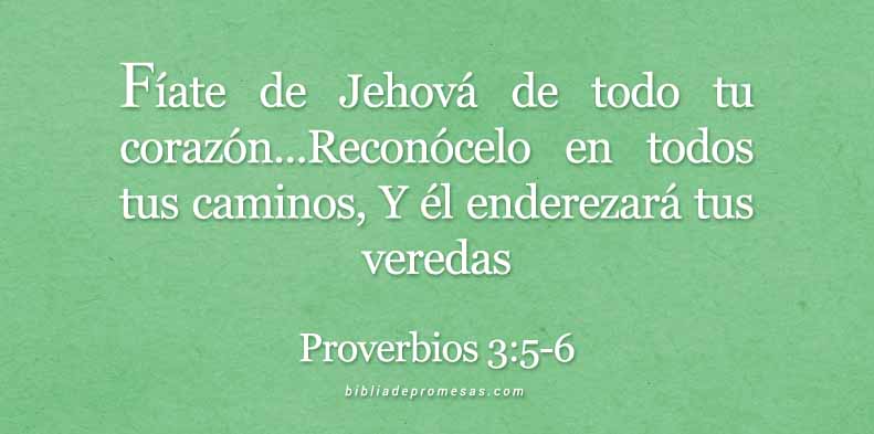 28-mayo-proverbios-3-5-6