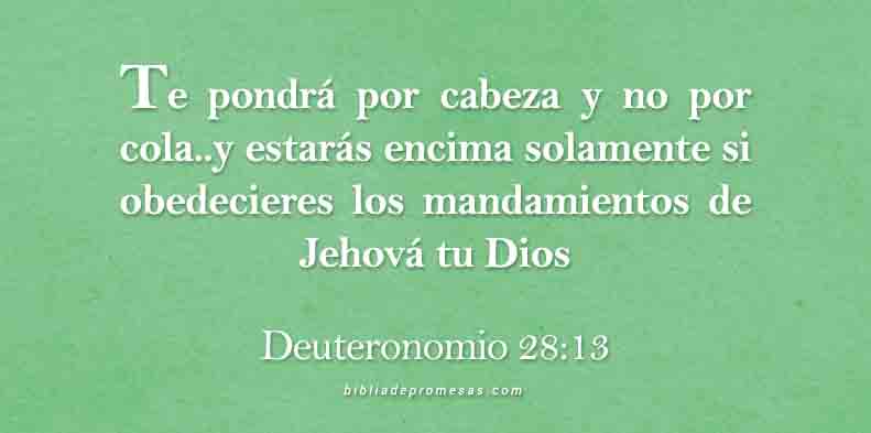 31-de-mayo-lecciones-de-obediencia