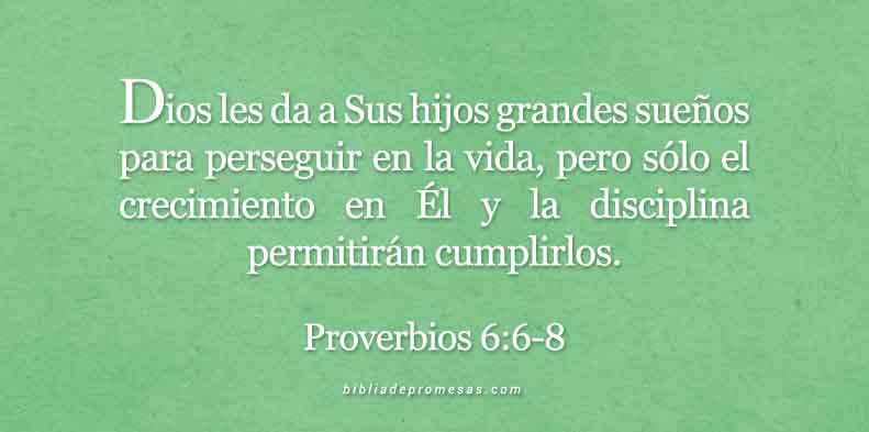 proverbios-6-6-8-dev