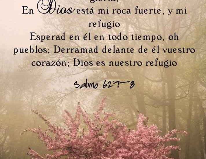 salmos-62-8-dev