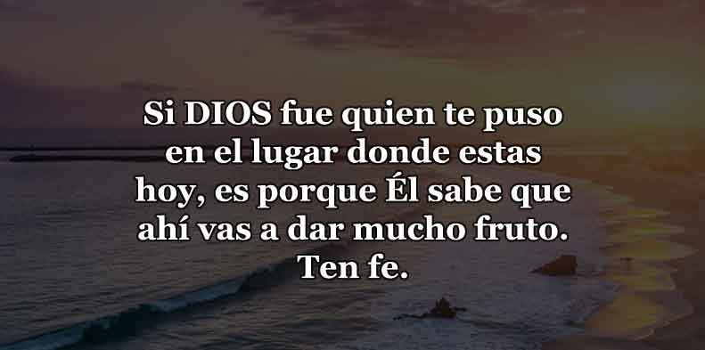 vas-a-dar-fruto-frases-de-Dios