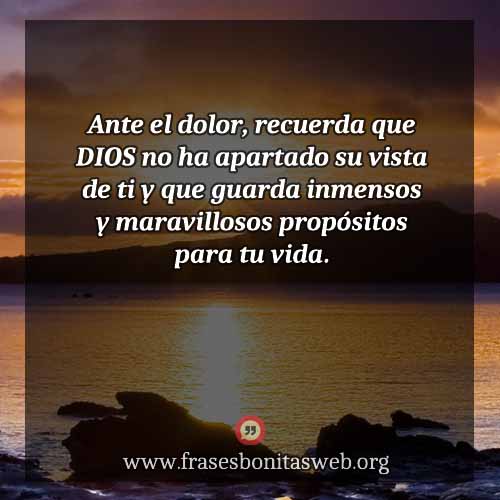 ante-el-dolor-frases-de-la-vida