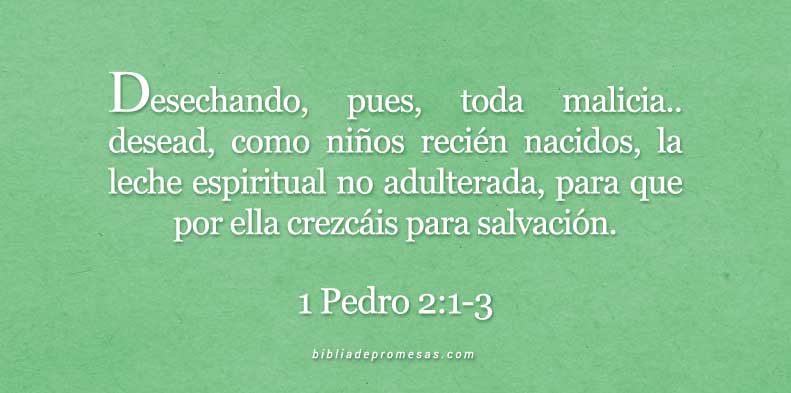 1-Pedro-2-1-3-dev