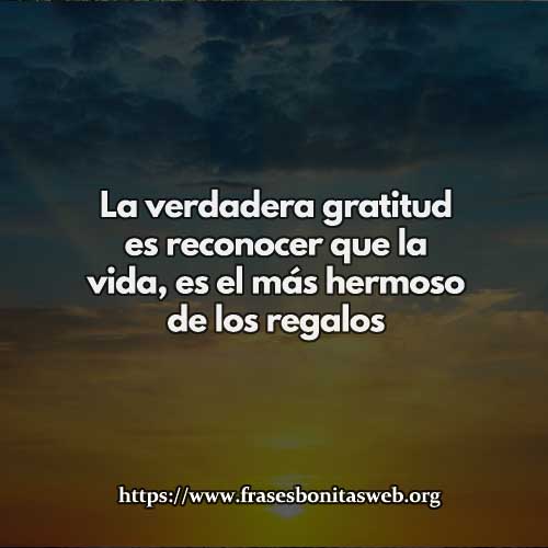 la-real-gratitud