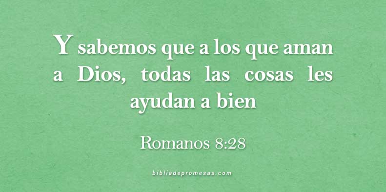 24NOVIEMBRE-8-28