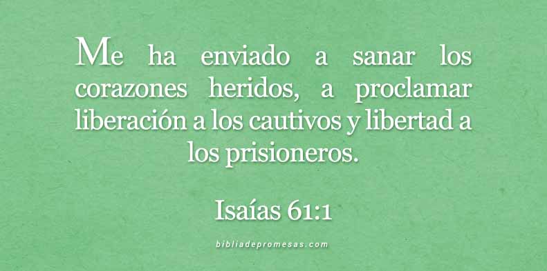 isaias61-1-dev