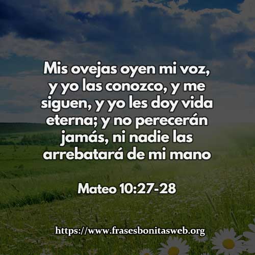 mateo-10-27-78