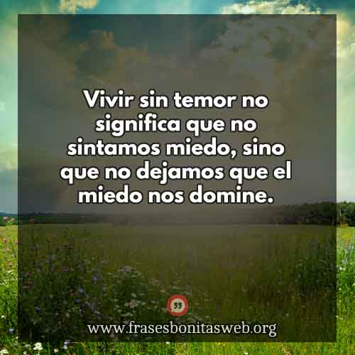 vive-sin-temor