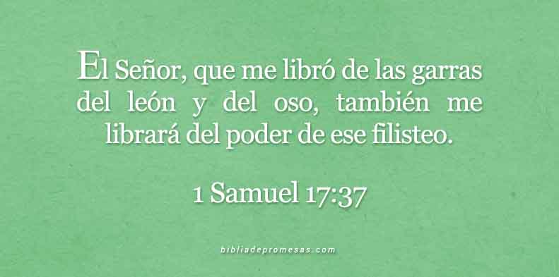 1-samuel-17-37-devbb