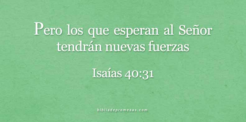 senda-paciente-dev