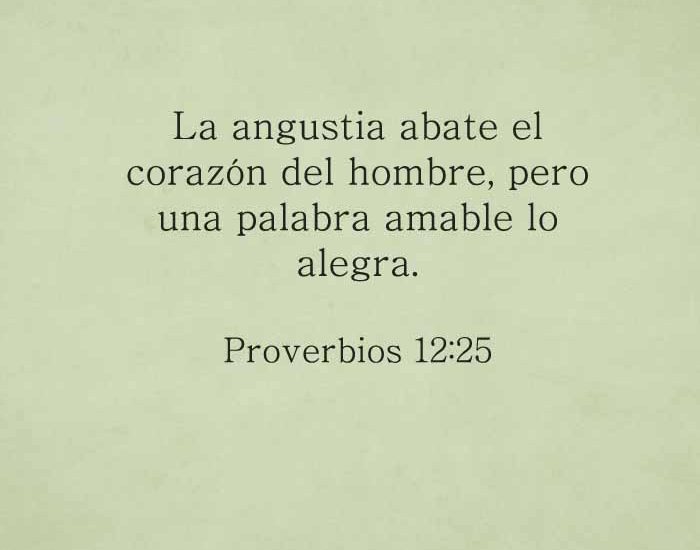 proverbios12-25-dev