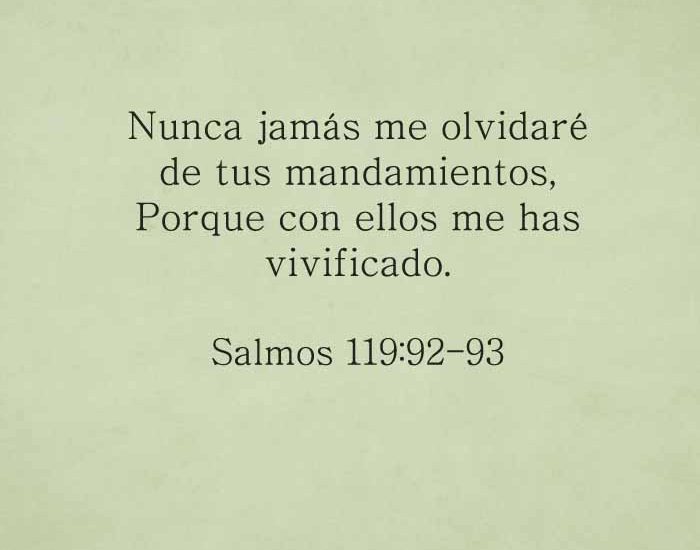 salmos119-92-93-dev