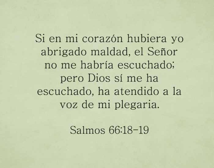 salmos661819-dev