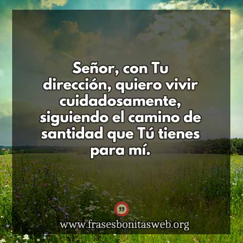 vivir-en-santidad-tdc