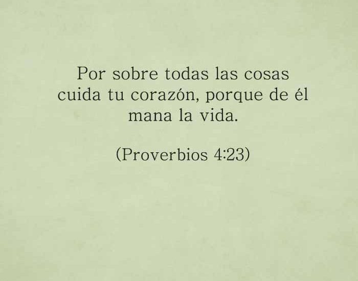 proverbios423-dev