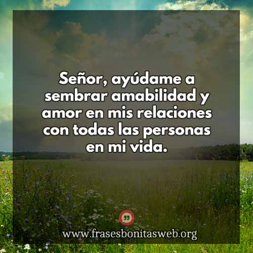 seramable-tdc