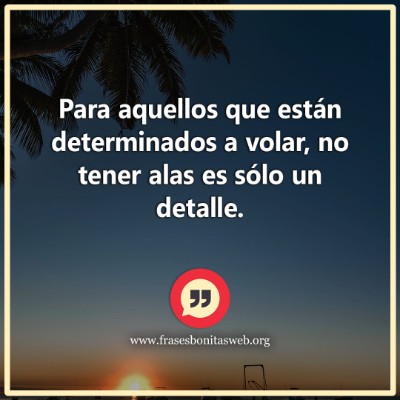 12-determinados-a-volar-frases-motivadoras-de-esfuerzo