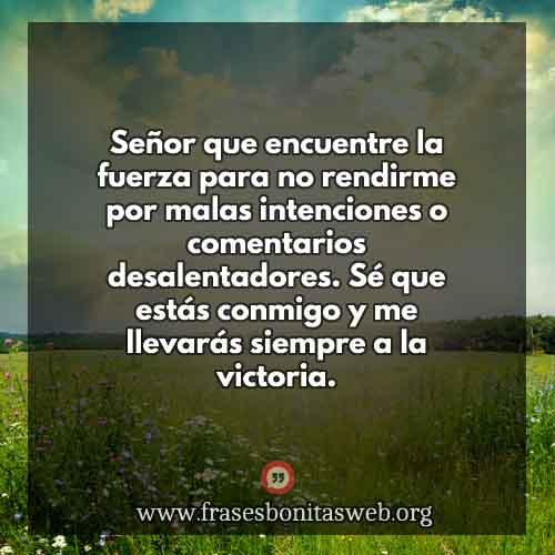 FrasesBonitasWeb – Página 983 – Frases bonitas, frases de amor y frases de  reflexión diarias