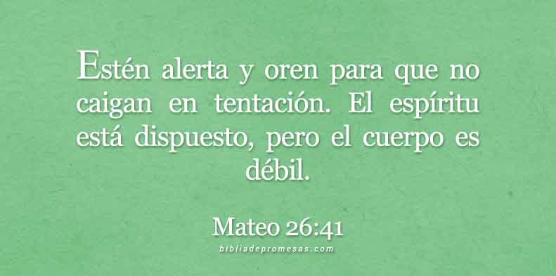 mateo-26-41-bbprom