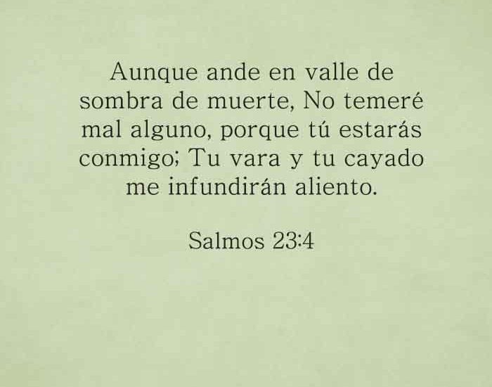 salmos23-4-dev-dev