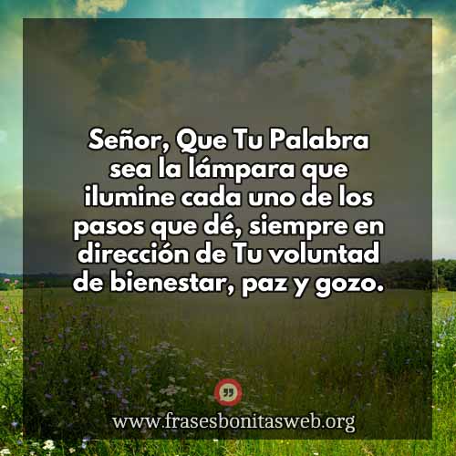 expertosensupalabra-tdc