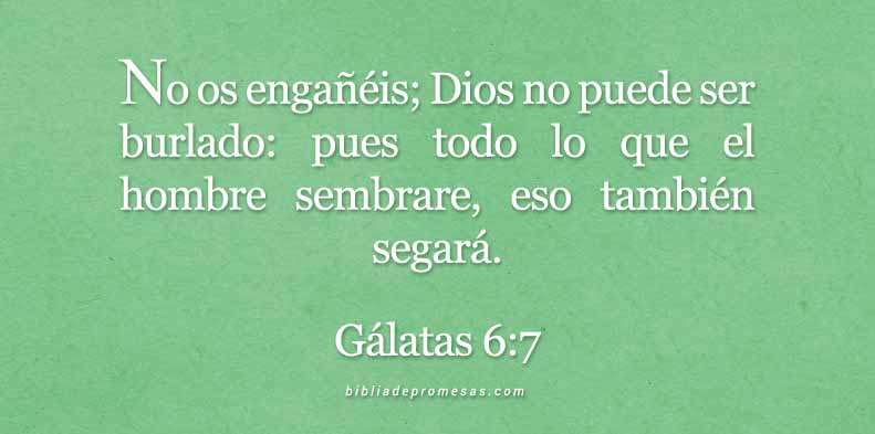 galatas-6-7-dev-bbprom