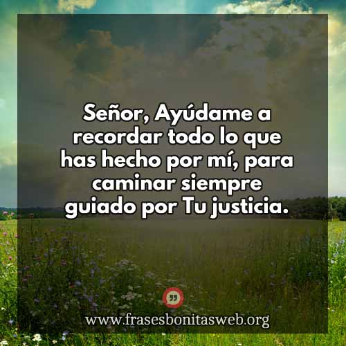 guiadoporsujusticia-tdc
