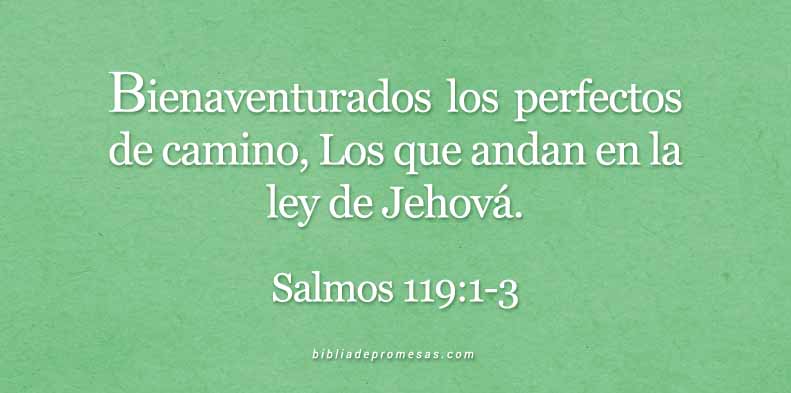 salmos119-1-3