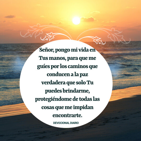 rsz_frasesbonitas17deoctubre