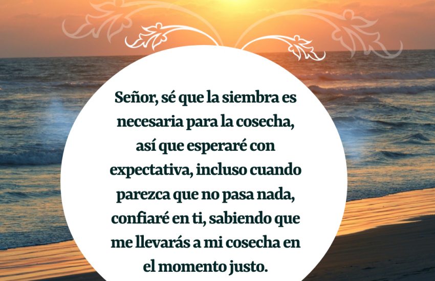 FrasesBonitasWeb – Página 499 – Frases bonitas, frases de amor y frases de  reflexión diarias