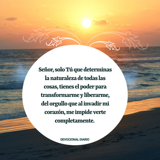 Gracia a los humildes – FrasesBonitasWeb