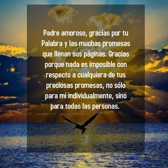 FrasesBonitasWeb – Página 141 – Frases bonitas, frases de amor y frases de reflexión diarias FrasesBonitasWeb – Página 141 – Frases bonitas, frases de amor y frases de reflexión diarias